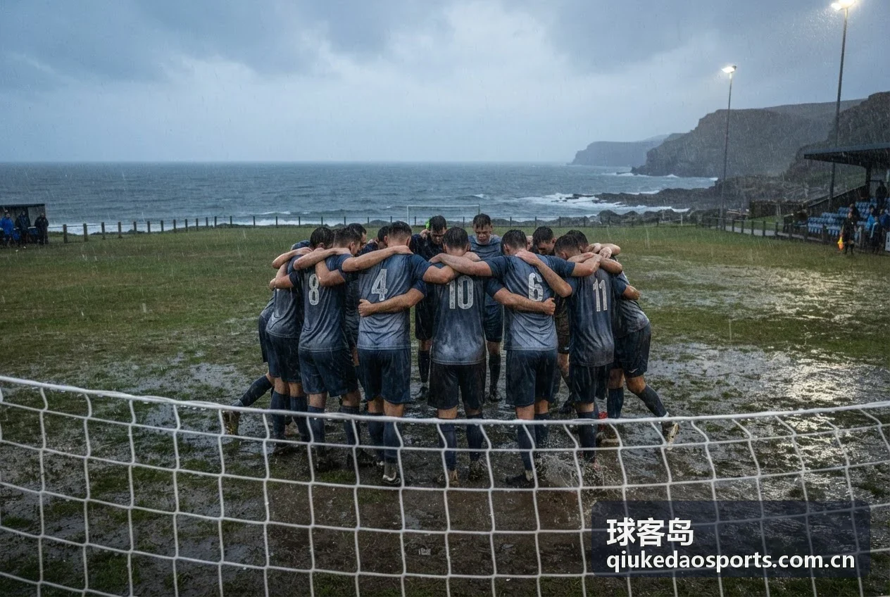 球客岛会员等级对比